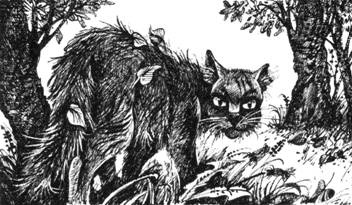 Иллюстрация к книге — Тайна Щербатой. Наказание. Книга 2 [pic_44.jpg]