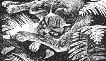 Иллюстрация к книге — Тайна Щербатой. Наказание. Книга 2 [pic_46.jpg]