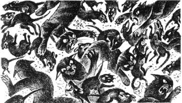 Иллюстрация к книге — Тайна Щербатой. Наказание. Книга 2 [pic_6.jpg]