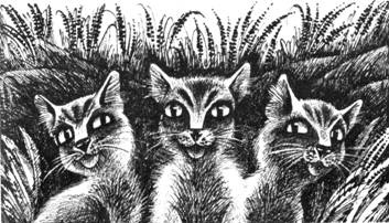 Иллюстрация к книге — Тайна Щербатой. Книга 1. Предназначение [pic_12.jpg]