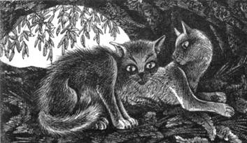 Иллюстрация к книге — Тайна Щербатой. Книга 1. Предназначение [pic_22.jpg]