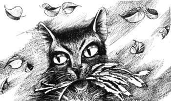 Иллюстрация к книге — Тайна Щербатой. Книга 1. Предназначение [pic_30.jpg]