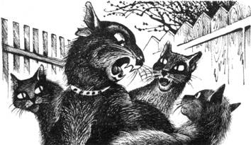 Иллюстрация к книге — Тайна Щербатой. Книга 1. Предназначение [pic_32.jpg]