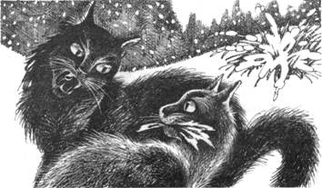 Иллюстрация к книге — Тайна Щербатой. Книга 1. Предназначение [pic_36.jpg]