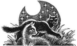 Иллюстрация к книге — Тайна Щербатой. Книга 1. Предназначение [pic_4.jpg]