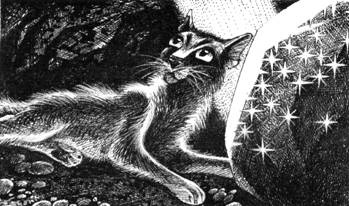 Иллюстрация к книге — Тайна Щербатой. Книга 1. Предназначение [pic_42.jpg]