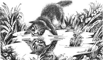 Иллюстрация к книге — Тайна Щербатой. Книга 1. Предназначение [pic_8.jpg]