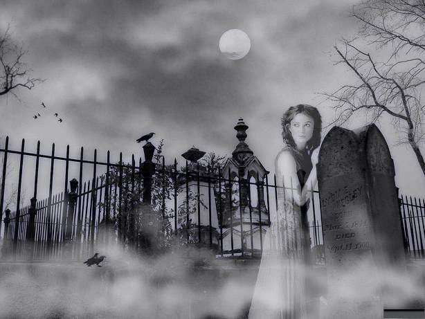 Иллюстрация к книге — Судьба вампира [i_001.jpg]