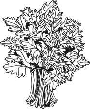 Иллюстрация к книге — Рефлексы идеального тела [img_30.jpg]