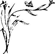 Иллюстрация к книге — Влюбленная Пион [_1.jpg]