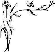 Иллюстрация к книге — Влюбленная Пион [_10.jpg]