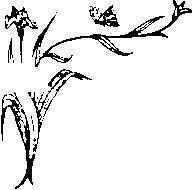 Иллюстрация к книге — Влюбленная Пион [_14.jpg]