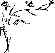 Иллюстрация к книге — Влюбленная Пион [_19.jpg]