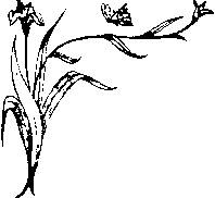 Иллюстрация к книге — Влюбленная Пион [_20.jpg]