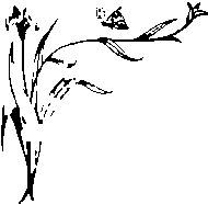 Иллюстрация к книге — Влюбленная Пион [_5.jpg]