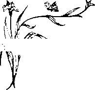 Иллюстрация к книге — Влюбленная Пион [_7.jpg]