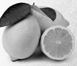 Иллюстрация к книге — Советское домоводство [i_007.jpg]