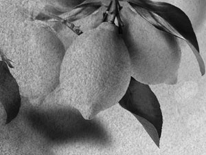 Иллюстрация к книге — Советское домоводство [i_008.jpg]