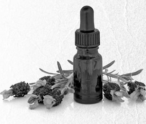 Иллюстрация к книге — Советское домоводство [i_015.jpg]