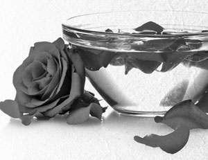 Иллюстрация к книге — Советское домоводство [i_019.jpg]