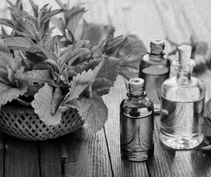 Иллюстрация к книге — Советское домоводство [i_027.jpg]