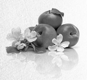 Иллюстрация к книге — Советское домоводство [i_028.jpg]