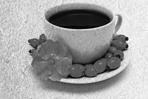 Иллюстрация к книге — Советское домоводство [i_030.jpg]