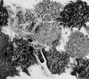 Иллюстрация к книге — Советское домоводство [i_043.jpg]