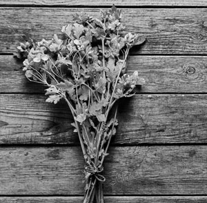 Иллюстрация к книге — Советское домоводство [i_044.jpg]