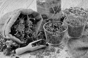 Иллюстрация к книге — Советское домоводство [i_045.jpg]