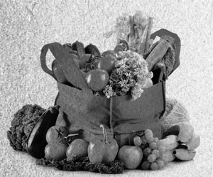 Иллюстрация к книге — Советское домоводство [i_051.jpg]