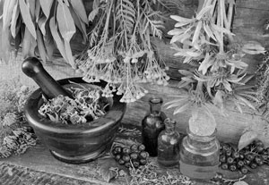 Иллюстрация к книге — Советское домоводство [i_070.jpg]