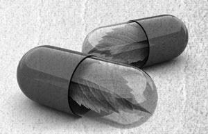 Иллюстрация к книге — Советское домоводство [i_075.jpg]