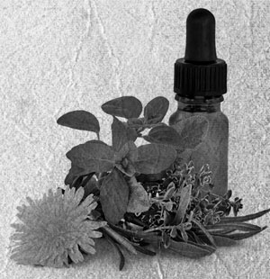 Иллюстрация к книге — Советское домоводство [i_076.jpg]