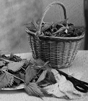 Иллюстрация к книге — Советское домоводство [i_077.jpg]