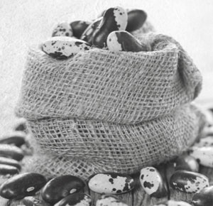 Иллюстрация к книге — Советское домоводство [i_079.jpg]