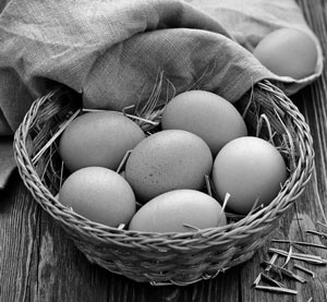 Иллюстрация к книге — Советское домоводство [i_094.jpg]