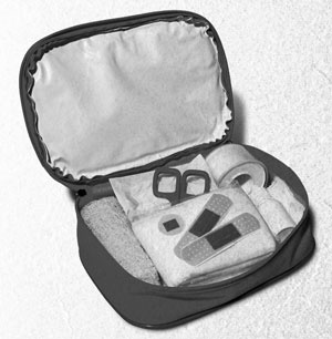 Иллюстрация к книге — Советское домоводство [i_095.jpg]