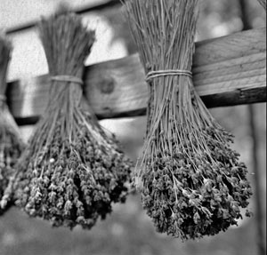 Иллюстрация к книге — Советское домоводство [i_097.jpg]