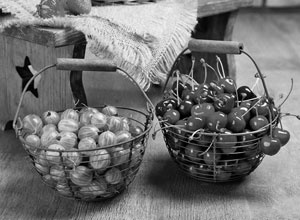 Иллюстрация к книге — Советское домоводство [i_100.jpg]