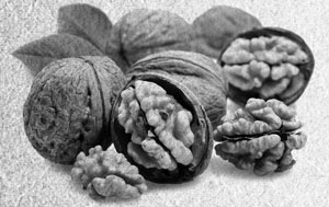 Иллюстрация к книге — Советское домоводство [i_102.jpg]