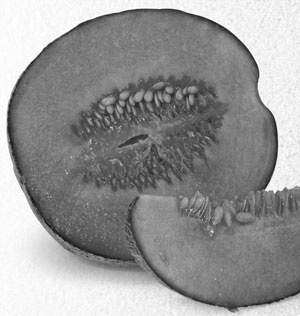 Иллюстрация к книге — Советское домоводство [i_108.jpg]