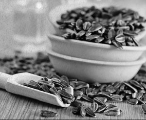 Иллюстрация к книге — Советское домоводство [i_111.jpg]