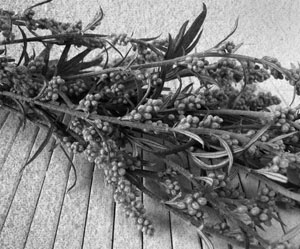 Иллюстрация к книге — Советское домоводство [i_117.jpg]