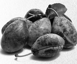 Иллюстрация к книге — Советское домоводство [i_119.jpg]