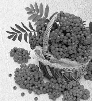 Иллюстрация к книге — Советское домоводство [i_122.jpg]