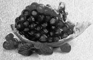 Иллюстрация к книге — Советское домоводство [i_123.jpg]