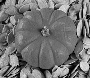 Иллюстрация к книге — Советское домоводство [i_128.jpg]