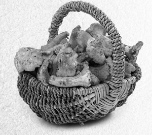 Иллюстрация к книге — Советское домоводство [i_130.jpg]