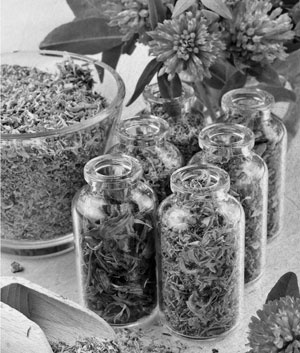 Иллюстрация к книге — Советское домоводство [i_133.jpg]